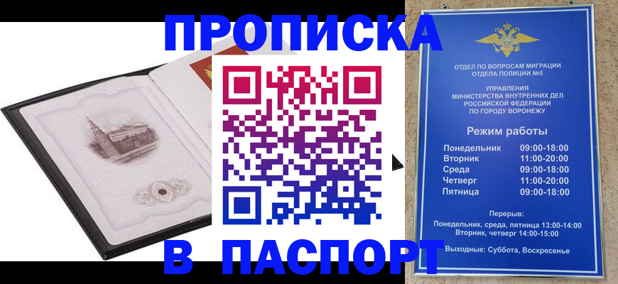 прописка в квартире в Щёлково