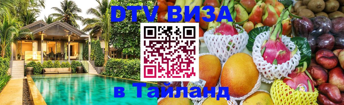 Оформление DTV визы под ключ: стоимость и тарифы, только загранпаспорт - Щёлково 